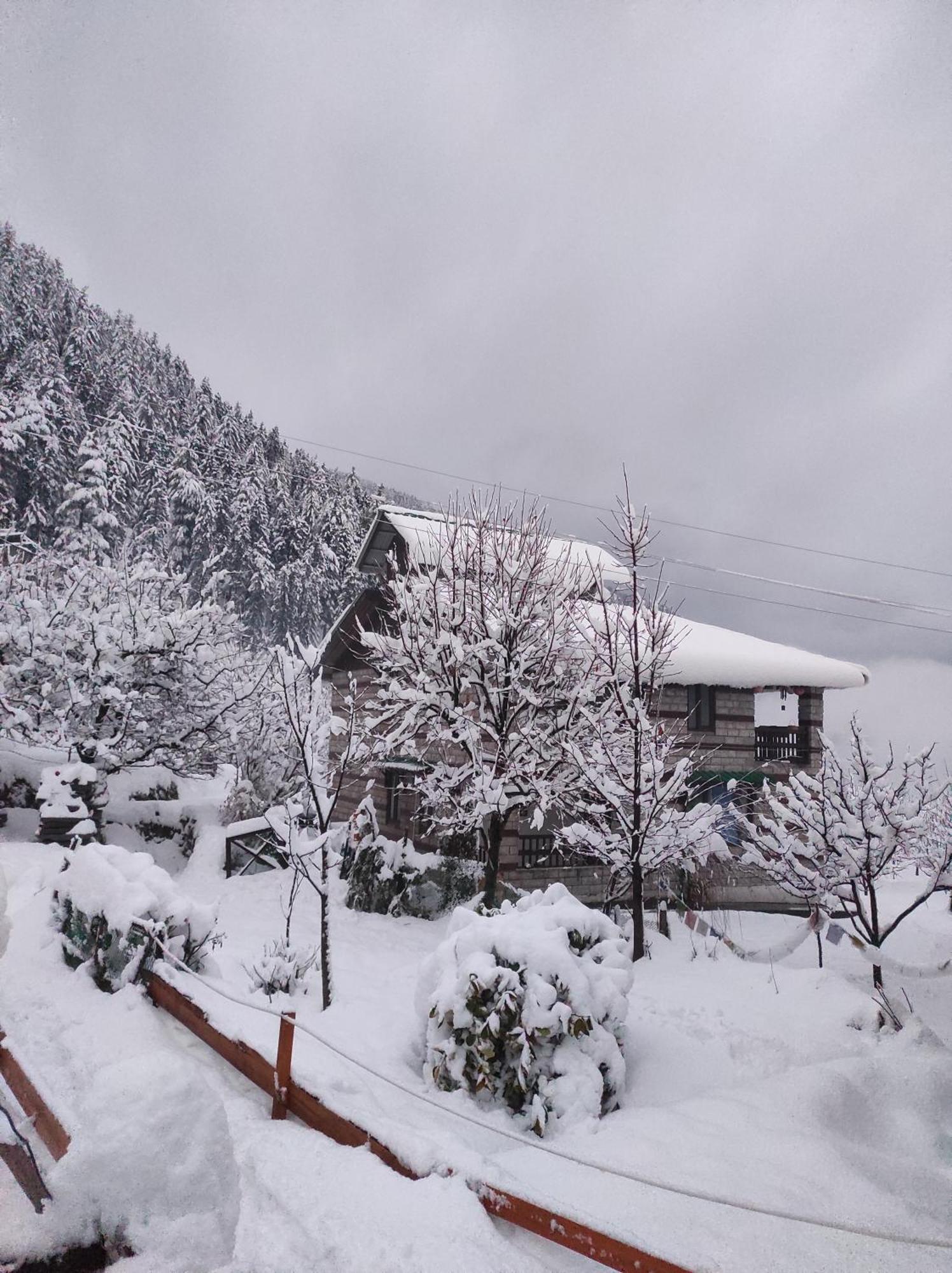 Albergue The Hideout - Hiraeth Manāli Exterior foto